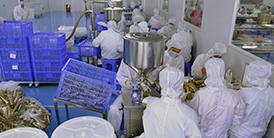 Factory environment